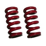 Koppelingsveren - ROOD - dikte 2.0mm - set van 2 stuks - voor 2 schoens racekoppeling! Koppelingsveren - ROOD - dikte 2.0mm - set van 2 stuks - voor 2 schoens racekoppeling!